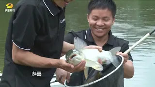 江湖行：湘黔寻大草