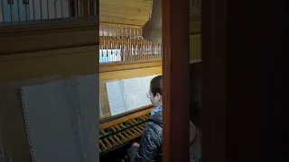 Карильон в Петропавловском соборе Санкт-Петербурга. Александра Капинос  #carillon