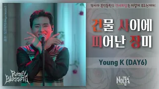 [가사/Lyrics]  Young K - 건물 사이에 피어난 장미 (원곡 : H1-KEY)