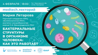 Medtech.Лекторий | Бактерии в организме человека