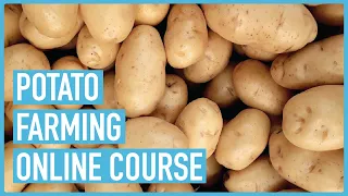 A Step-by-Step Course on Profitable Potato Farming - Course Introduction & Outline