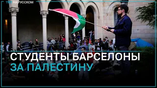 Студенты Барселонского университета разбили палаточный лагерь в поддержку палестинцев