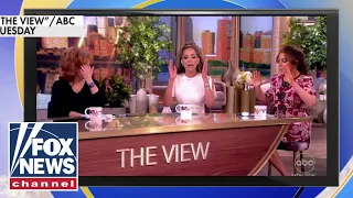 'View' co-host demands Democrats get behind Biden