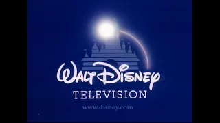 Walt Disney Television/Buena Vista International, Inc. (2000) #2