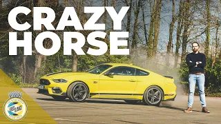 Ford Mustang Mach 1 review | More fun than an M4 for less?