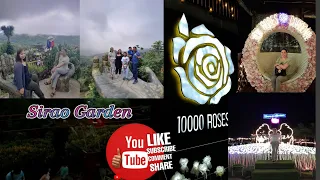 Sirao Garden To 10000 Roses CEBU CITY #trending #travelvlog #latepost