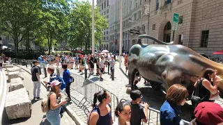 Wall Street Charging Bull, New York 4K