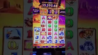 Massive jackpot handpay on 4 dollar bet buffalo ascension slot machine