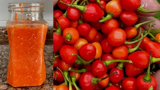 How to make Guyanese pepper sauce with weri weri pepper/hot sauce