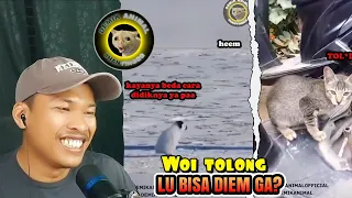 KETIKA HEWAN BERBICARA 🤣   Reaction Demik Animal