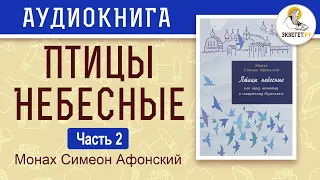 Птицы небесные. Монах Симеон Афонский. Том II. Часть 2.