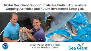 NOAA Sea Grant Support of Marine Finfish Aquaculture