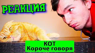 РЕБОРН СМОТРИТ ► КОРОЧЕ ГОВОРЯ, КОТ ► РЕАКЦИЯ НА ТИМ ТИМ