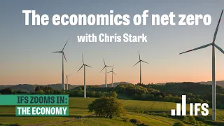 The economics of net zero | IFS Zooms In