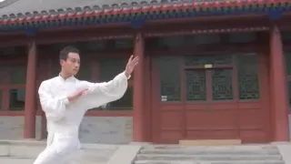 Dragon Baguazhang (Pakua) :: Beijing Milun Kungfu School