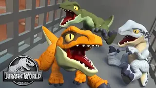 Raptor Team-Up! | Jurassic World | Kids Adventure Show | Dinosaur Cartoons
