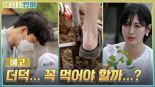 [5화예고] 소연아, 더덕을 꼭 먹어야겠니…? #해치지않아 EP.5