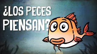 ¿LOS PECES PIENSAN? / PESAME STREET