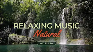 Relaxing Music, Zen Music, Meditation Music, Stress Relief Music, Sleep Music, Nature Sounds