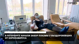 В Петербурге начали забор плазмы крови у выздоровевших от коронавируса
