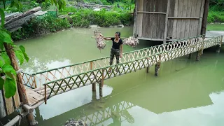 DIY bamboo bridge-Raise 2 little pigs /Off-Grid Living Part 2