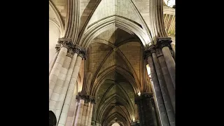 lana del rey - old money (cathedral)