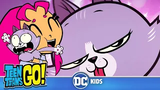 Teen Titans Go! en Latino | ¡Los momentos más graciosos de los animales de Teen Titans Go! | DC Kids