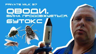 Оводи. Муха-жигалка. Гедзі. Війна продовжується. Бутокс | Private Milk | Травецький