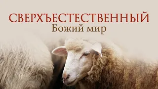 3. Сверхъестественный Божий мир – Псалом 22 – Рик Реннер