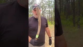 Epic Primitive Hunting Throwing Stick