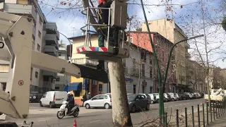 TERAMO, INZIATI I LAVORI POTATURA PLATANI A VIALE BOVIO