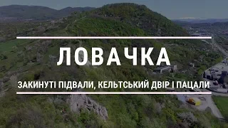 Ловачка (Мукачево) - закинуті винні підвали, Кельтський двір і пацали