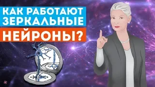 Как работают зеркальные нейроны?