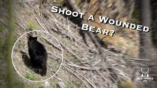 Shoot A Wounded Bear?
