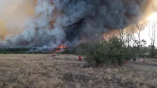 Пожар в Тереховском