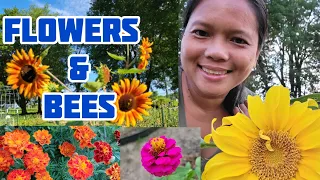 Top 3 Flowers to Grow for Pollinators in a Vegetable Garden