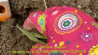 Как полоть грядки правильно 💎