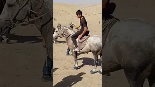 Dehqonobod tumani Darxon qishlogʻidan Samandar polvoni kupkarisi