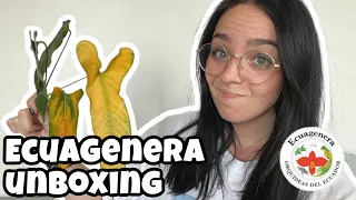 Ecuagenera unboxing! | Unboxing imported houseplants 📦