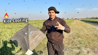 I Am Looted Kites In Ground | Kite Catching | Kite vlog