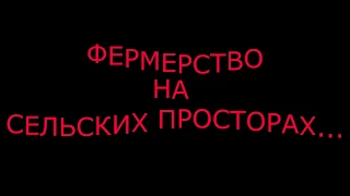 Холодное утро.Очень тяжелая пахота.Плуг ПЛН 3-35 . МТЗ-80