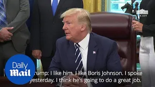 Donald Trump thinks he'll get along 'very well' with Boris Johnson