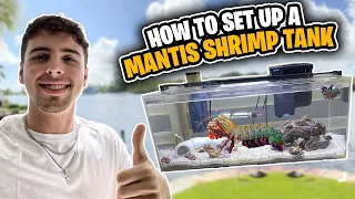 MANTIS SHRIMP Tank Setup!!