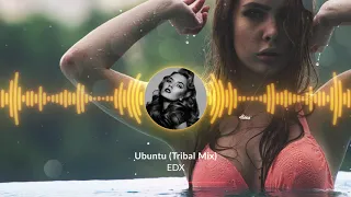 EDX - Ubuntu (Tribal Mix) HD Video