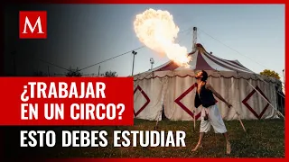 Esta es la licenciatura que tienes que estudiar para trabajar en un circo