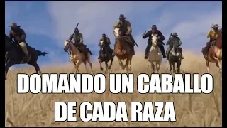 Red Dead Redemption 2 – ¿Cómo y dónde domar un caballo de cada raza? (Desafío Jinete 10)