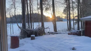 Ruokakassipalvelu, linkomies,pizzaa hellalla