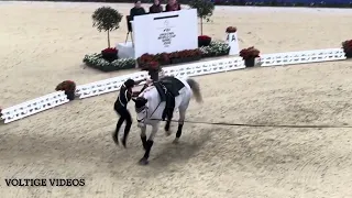 FEI Vaulting World Cup Final Basel 2024 - Thomas Brüsewitz GER - Tech Test