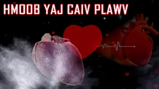 HMoob Yaj Caiv Plawv