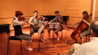 The Lord of the Rings for String quartet [HD] - III. The War of Helms Deep